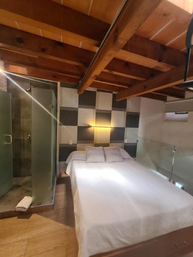 Loft 41 By Casa Matia Apartment San Miguel de Allende Exterior photo